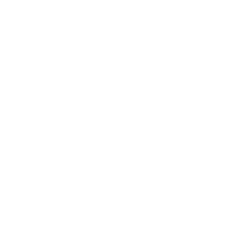 Burton Brand Site